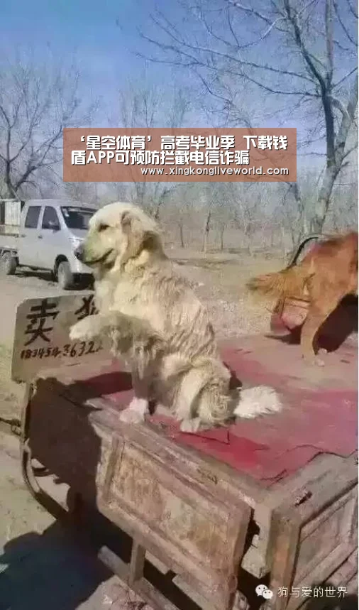 ‘星空体育’高考毕业季 下载钱盾APP可预防拦截电信诈骗(图2) 星空视讯