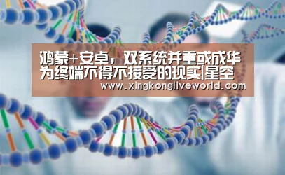 鸿蒙+安卓,双系统并重或成华为终端不得不接受的现实|星空视讯(图3) 星空体育