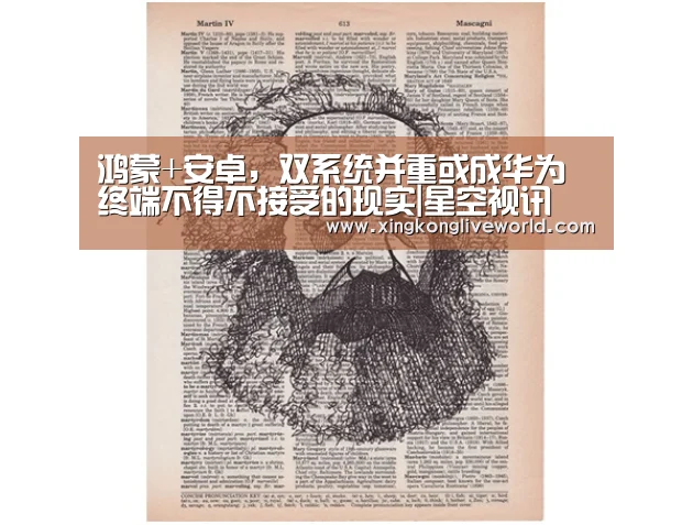 鸿蒙+安卓,双系统并重或成华为终端不得不接受的现实|星空视讯(图2) 星空体育